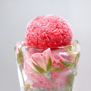 Champagne and Flowers Sorbet